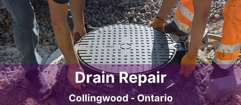 Drain Repair Collingwood - Ontario